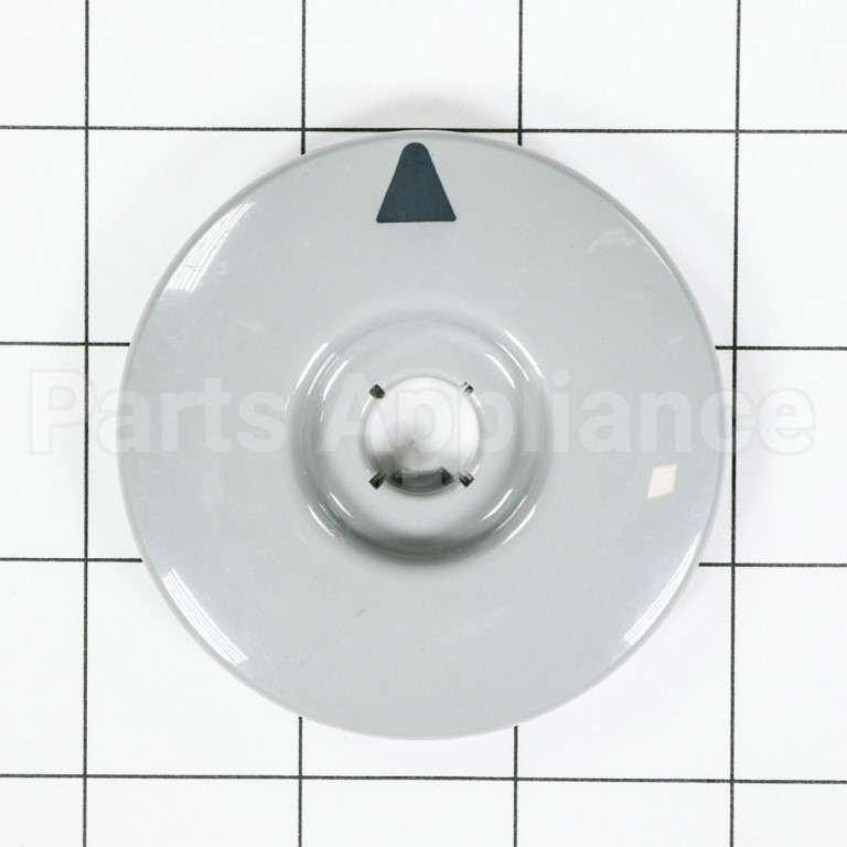 WH11X10060 GE Dial Asm