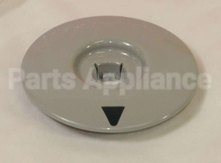 WH11X10060 GE Dial Asm
