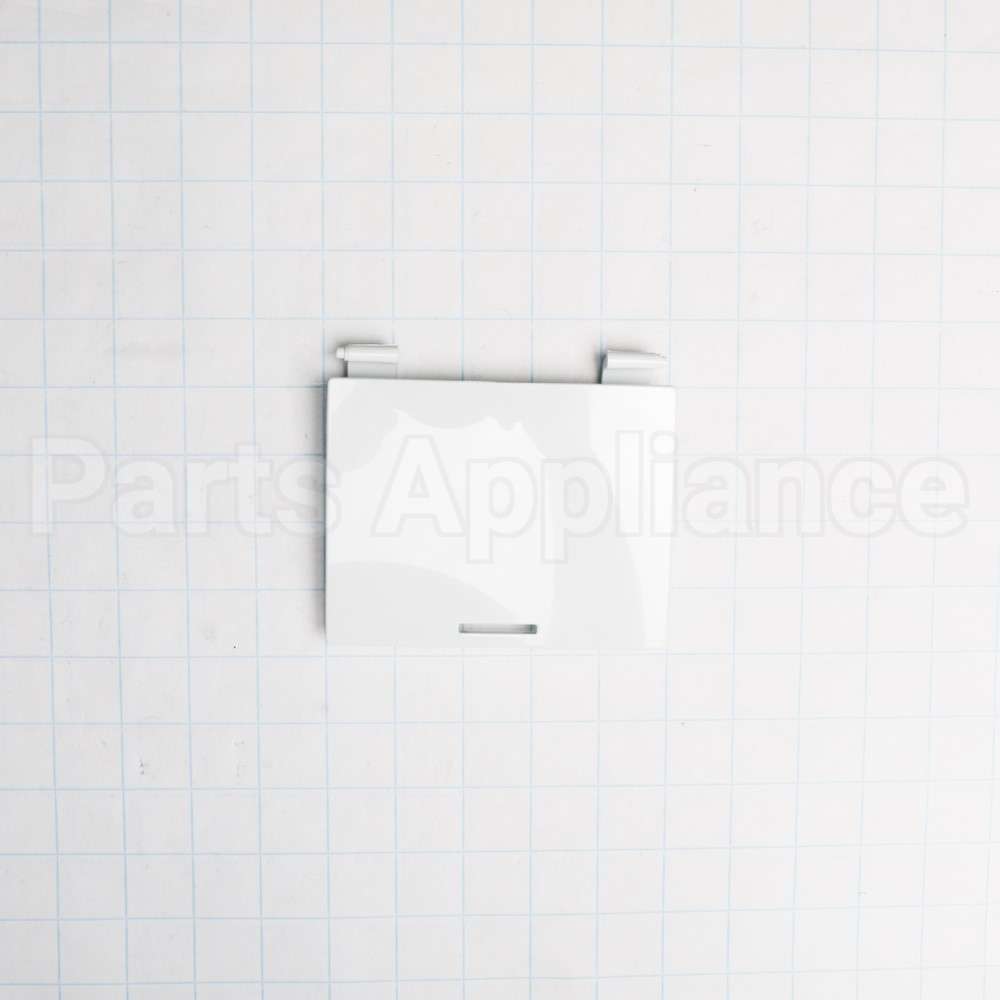 WH42X27095 GE Washing Machine Filter Door