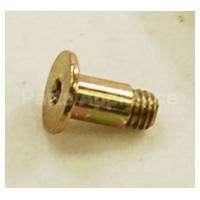 WP2005921 Whirlpool Screw