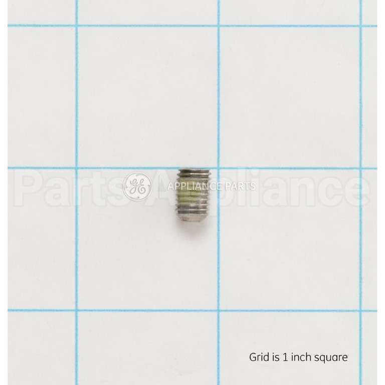 WR01X11057 GE Set Screw .250 Dia.