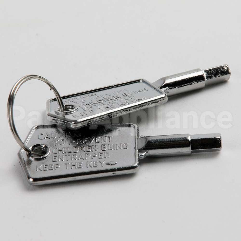 WR01X28053 GE Door Key