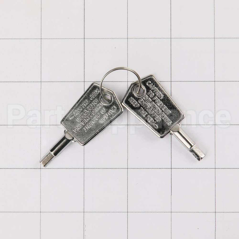 WR01X28053 GE Door Key