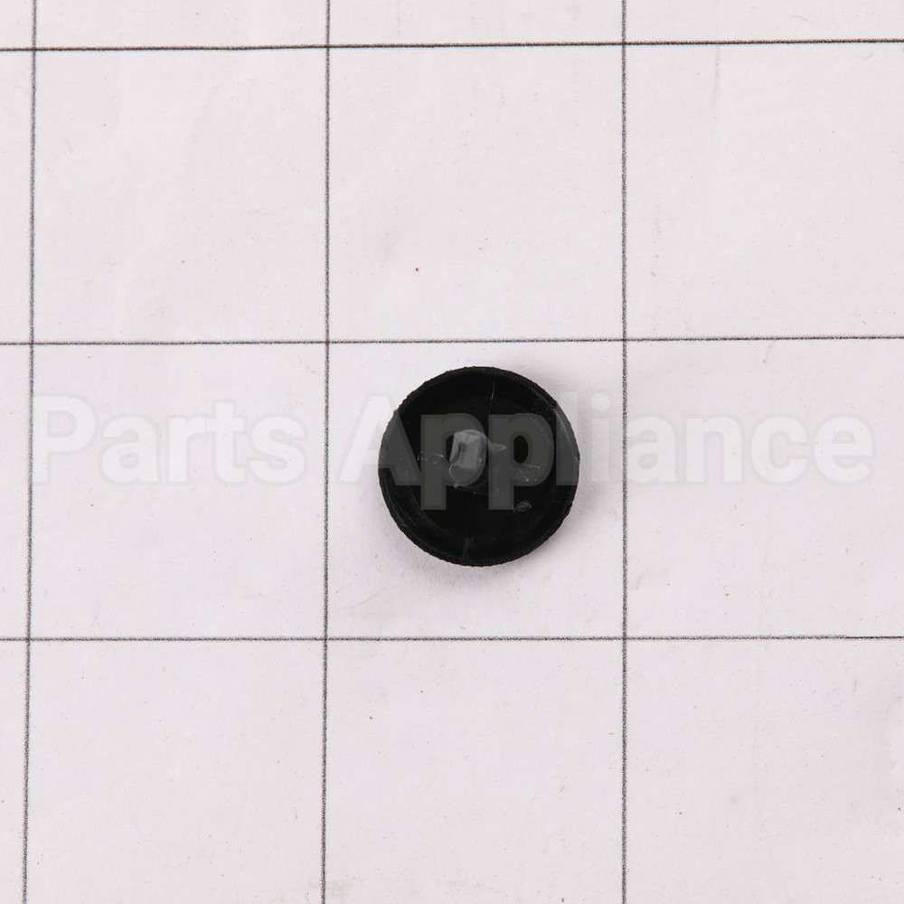 WR02X21195 GE Plug Door Rvsbl