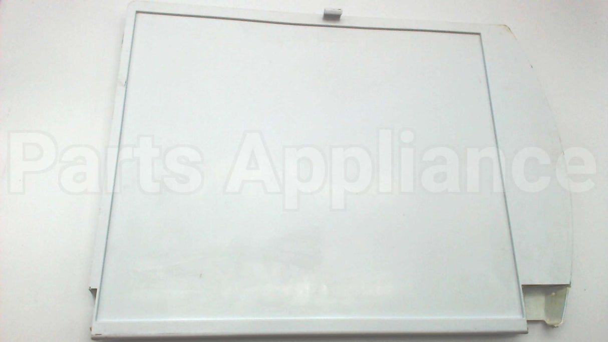 WR17X12984 GE Refrigerator Door Assembly