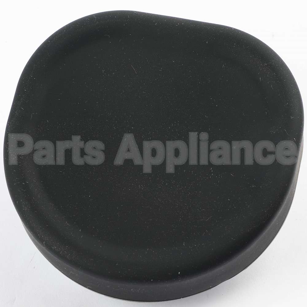 WR17X36025 GE Duct Door