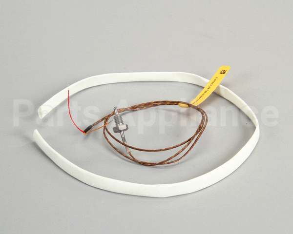 WS-63927 Wells Probe T-Couple 208/240V