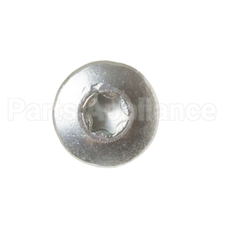 WS02X10083 GE Scr 8-18 Ab Pnt20 7/16 S