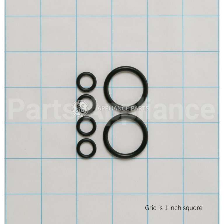 WS03X10046 GE O-Ring Kit(2Lg 4Sm)