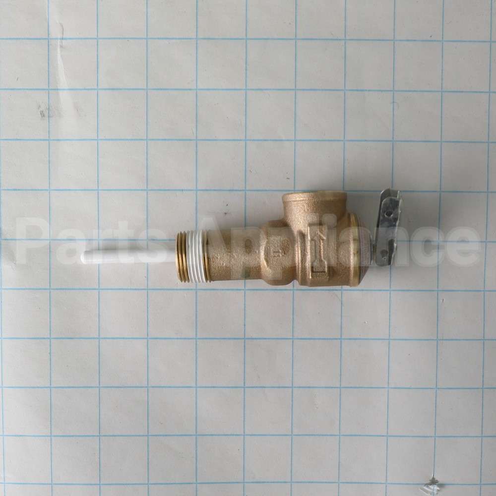 WS06X22864 GE T-P Valve