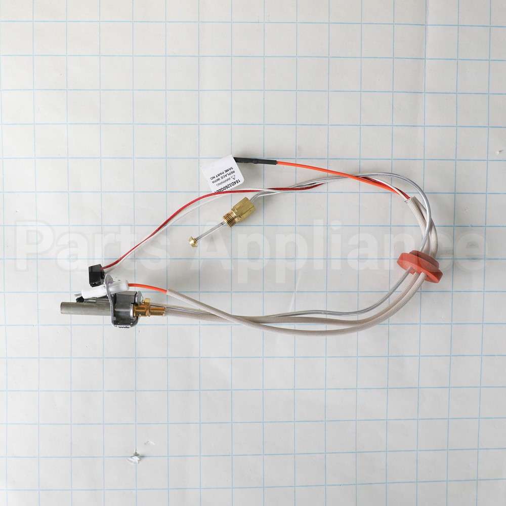 WS52X23202 GE Pilot Asm - Longlp