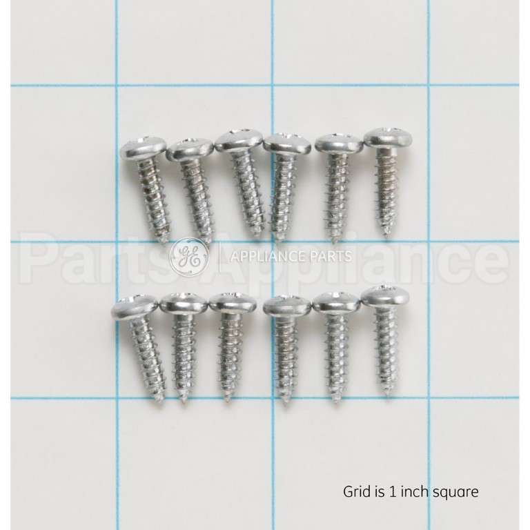 WZ4X245D GE Screw-Pkg 12