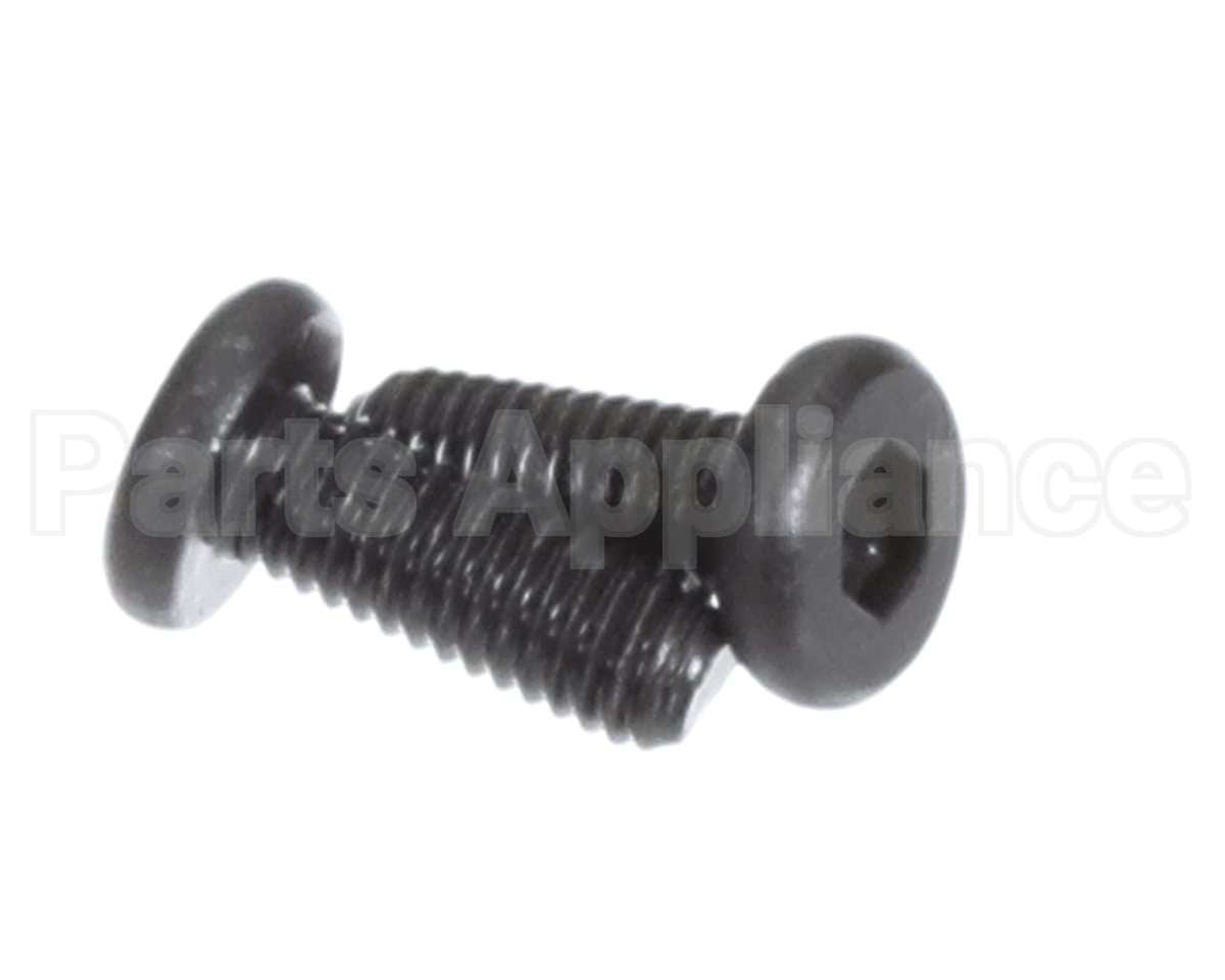 X00556 Globe Motor Mounting Screw
