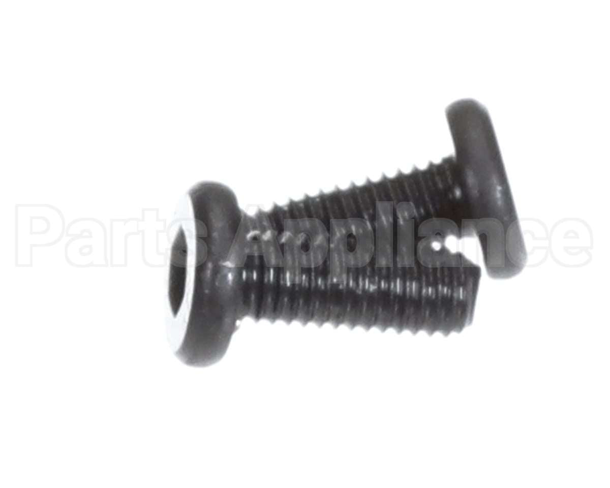 X00556 Globe Motor Mounting Screw