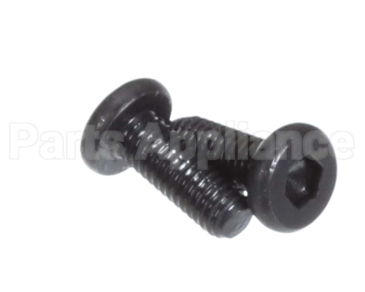 X00556 Globe Motor Mounting Screw