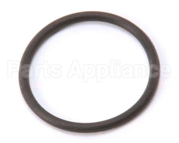 X10103 Globe O Ring