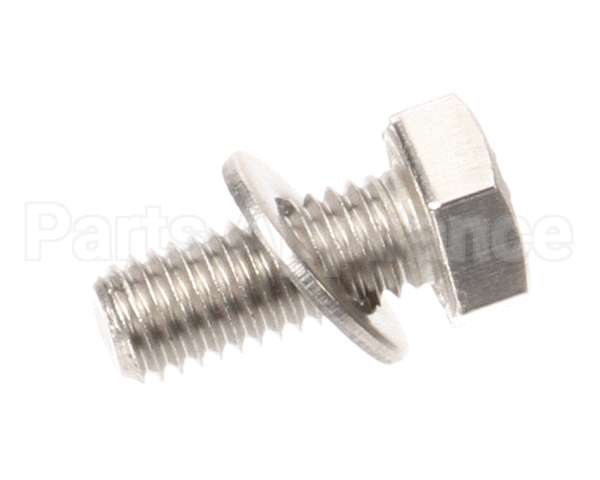 X30101 Globe Flat Washer/Screw Assembly