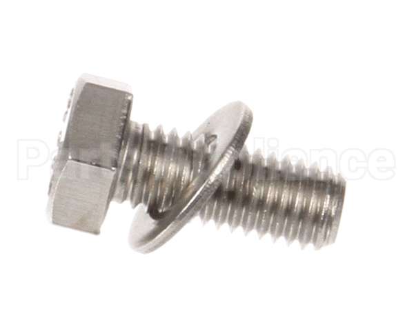 X30101 Globe Flat Washer/Screw Assembly