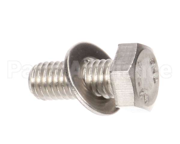 X30101 Globe Flat Washer/Screw Assembly