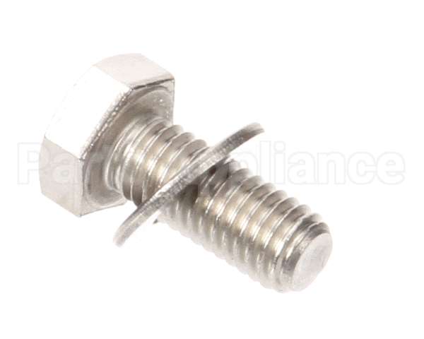 X30101 Globe Flat Washer/Screw Assembly