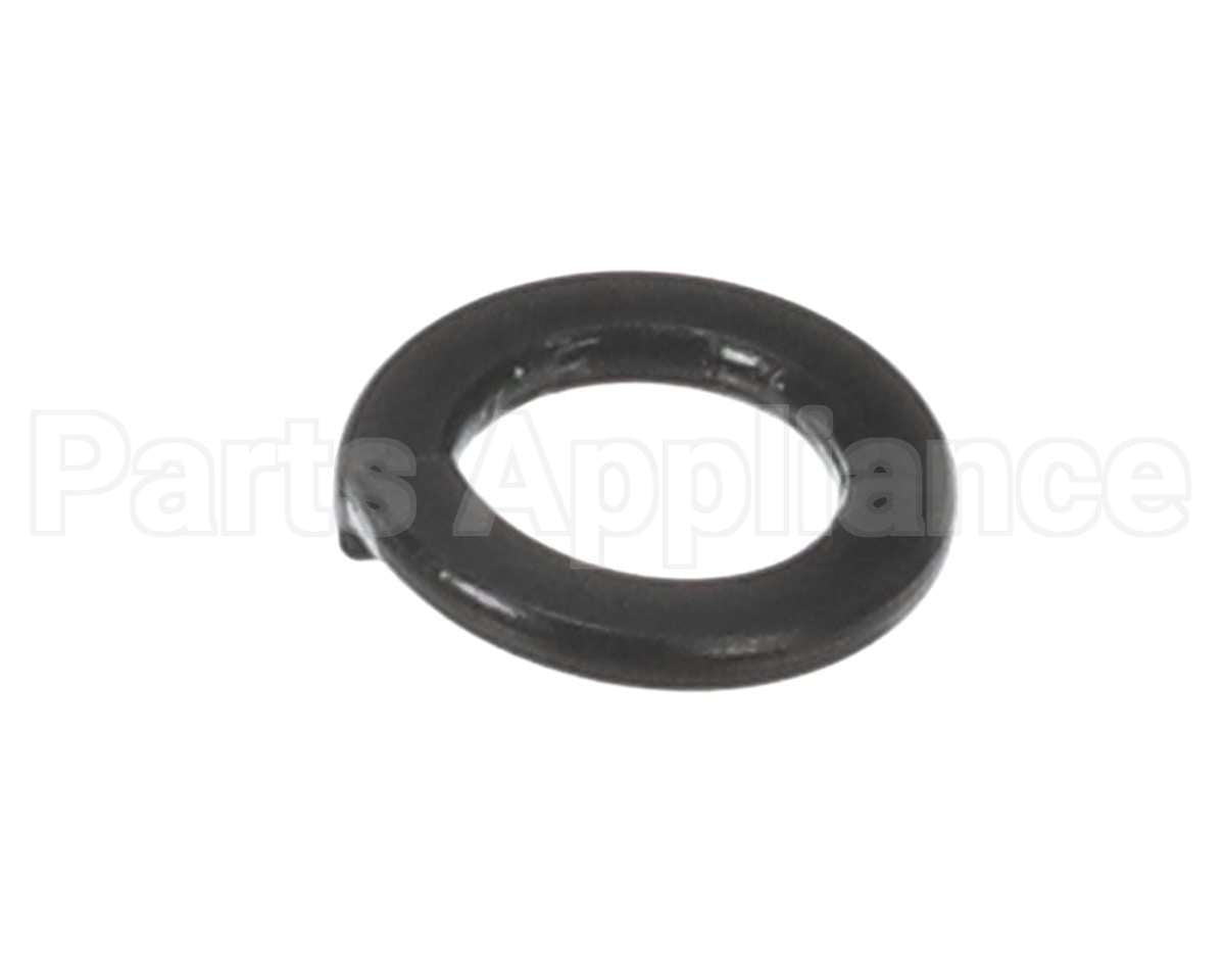 X30198 Globe Washer