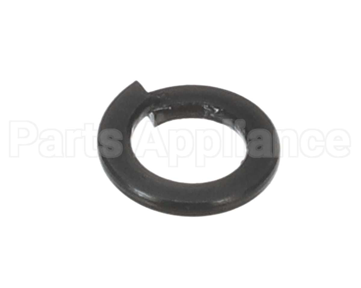X30198 Globe Washer