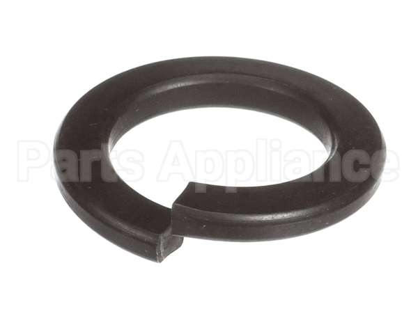 X40111A Globe Washer