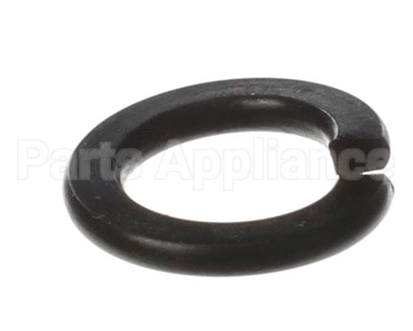 X80B02 Globe Spring Washer