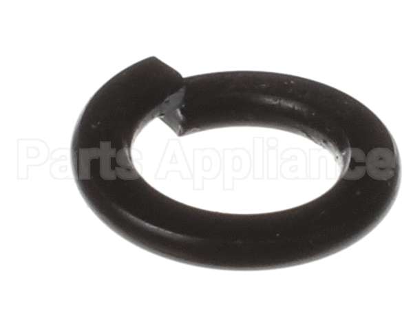 X80B02 Globe Spring Washer