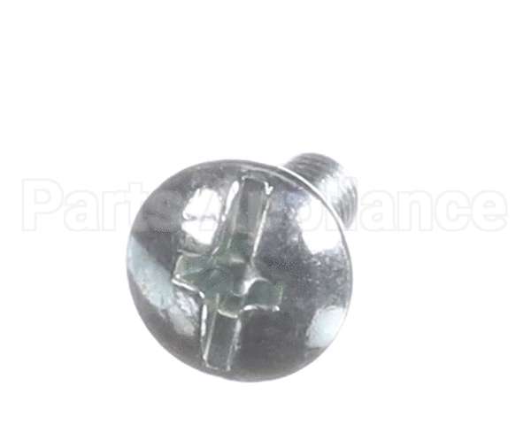 X80B30 Globe Screw