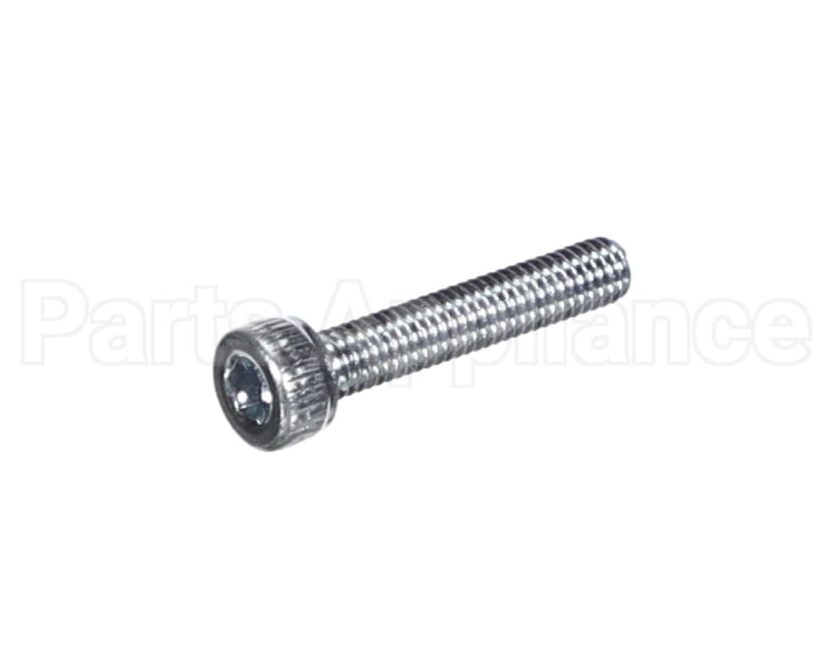 X80J36 Globe Screw