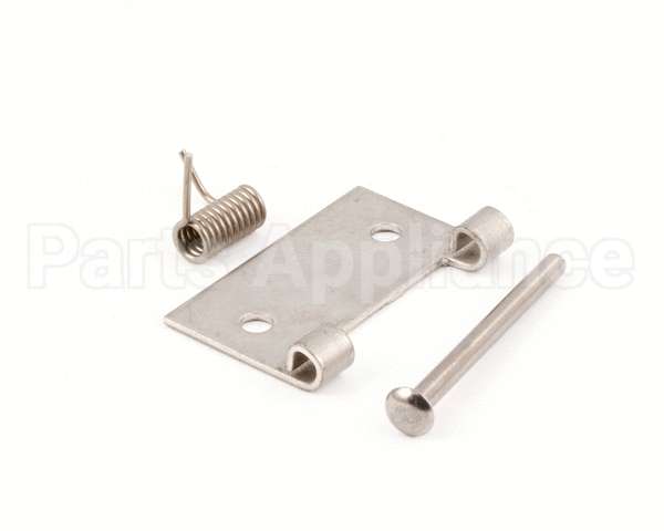 Z004114 Groen Hinge Spring Loaded