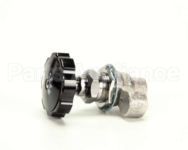 Z055279 Groen Valve Globe 3/8 Npt
