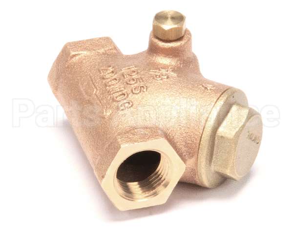 Z086461 Groen Valve Swing Check 3/8