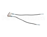 00-133320-00005 Hobart Pilot Light