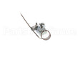 00-498096-0550P Vulcan Hart Valve, 550F Thermostat Combo
