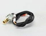 00-498621-0000A Vulcan Hart Burner, Rrg Pilot Spark
