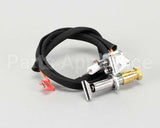 00-498621-0000A Vulcan Hart Burner, Rrg Pilot Spark