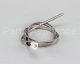 00-720138-00001 Vulcan Hart Sensor, Temperatur W/Ss Braid