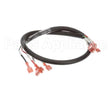 00-854701-00001 Vulcan Hart Harness,Gas Valve