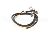 00-855843-00001 Vulcan Hart Spark Ignitor