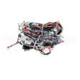 00-856745-00001 Compatible Vulcan Harness, Wiring C24Ea Pr O