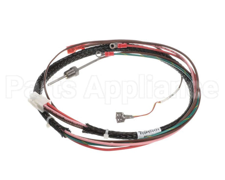 00-857417-00001 Vulcan Hart Pressure Switch Harness