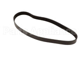 00-873921-00002 Hobart Belt,