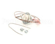 00-913145-00002 Vulcan Hart Switch, Flame,W/O Pilot,W/Ther