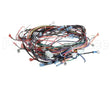 00-919690 Hobart Harness,Main,Cntrl Box