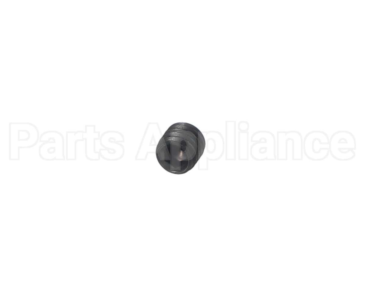 00-938005-00008 Berkel Screw