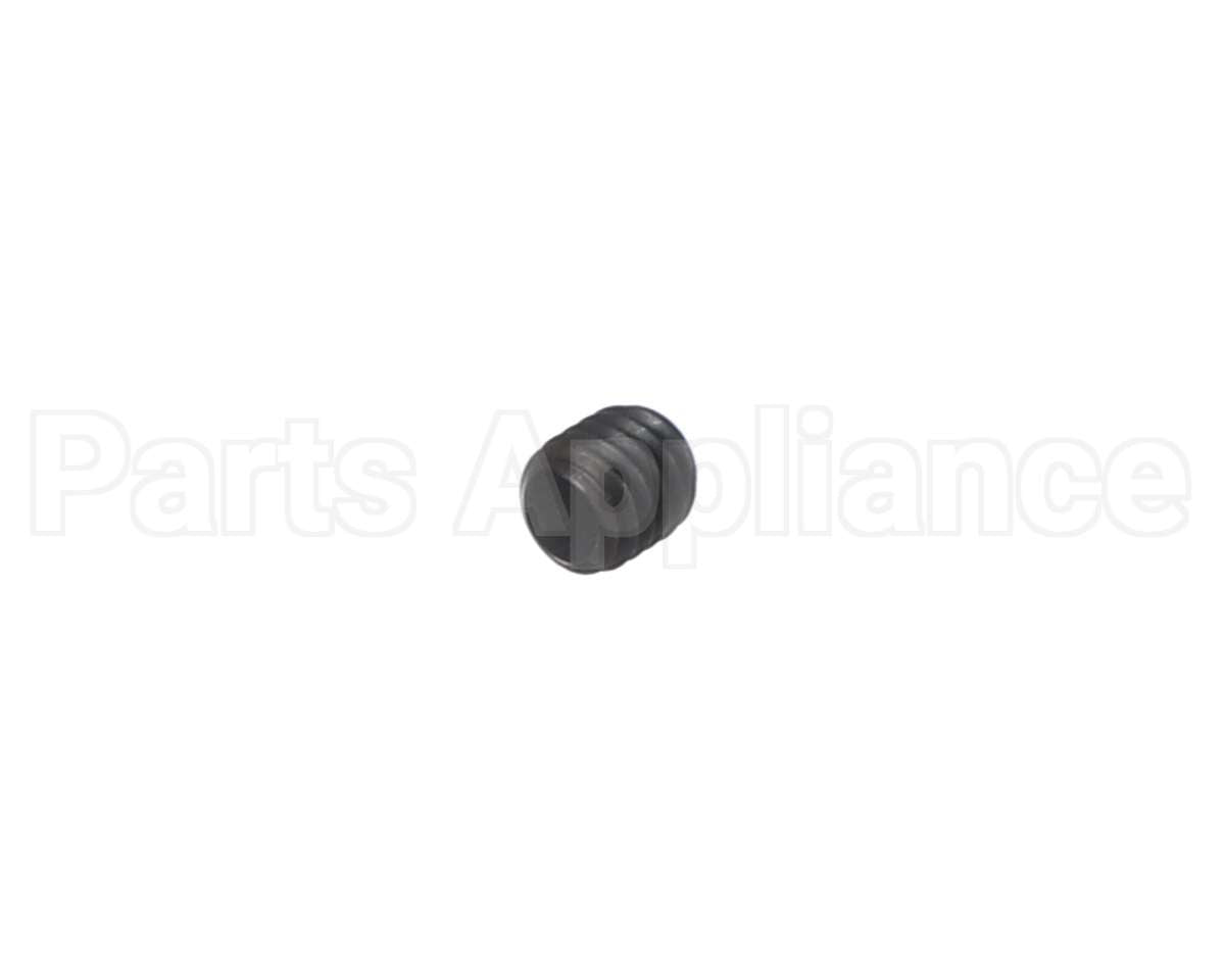 00-938005-00008 Berkel Screw