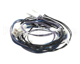 00-941873 Hobart Harness,Temperature Probes