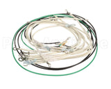 00-945066 Vulcan Hart Kit Wiring